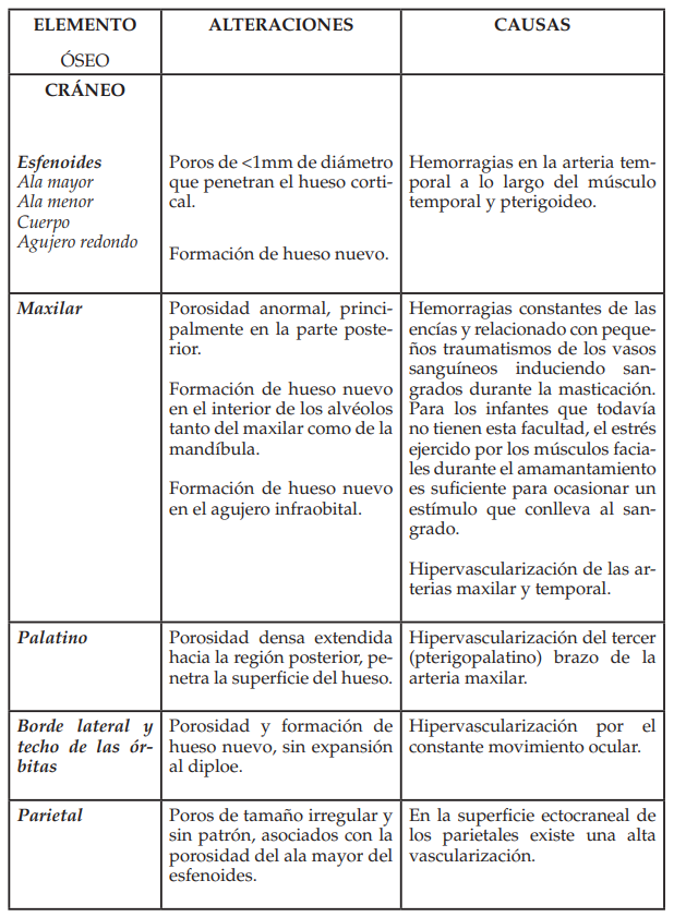 Ubicaci�n de las alteraciones �seas provocadas por el escorbuto en infantes.