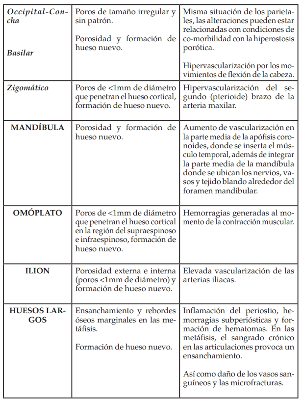 Ubicaci�n de las alteraciones �seas provocadas por el escorbuto en infantes.