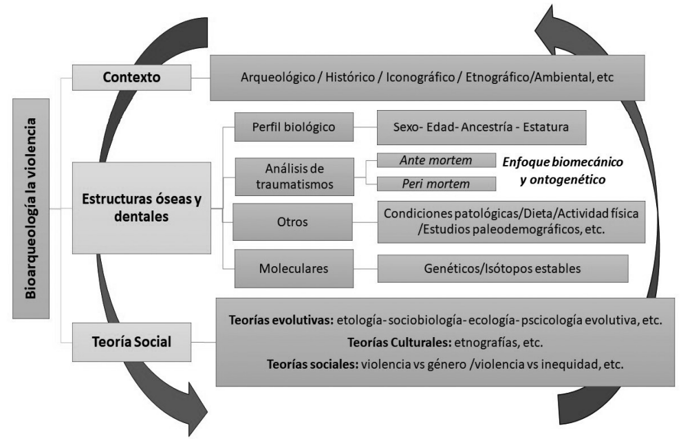 Metodologa para el anlisis de la violencia en poblaciones antiguas