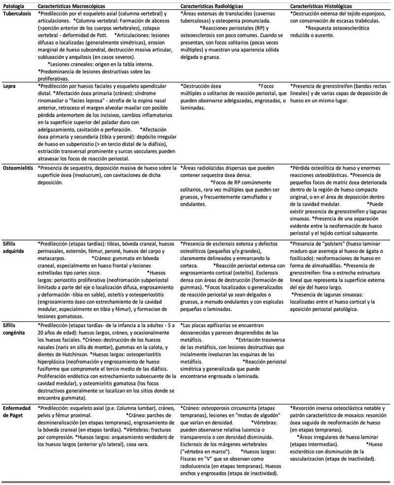 Caractersticas macroscpicas, radiolgicas e histolgicas consideradas para el diagnstico diferencial entre lesiones seas por treponematosis y otras enfermedades.