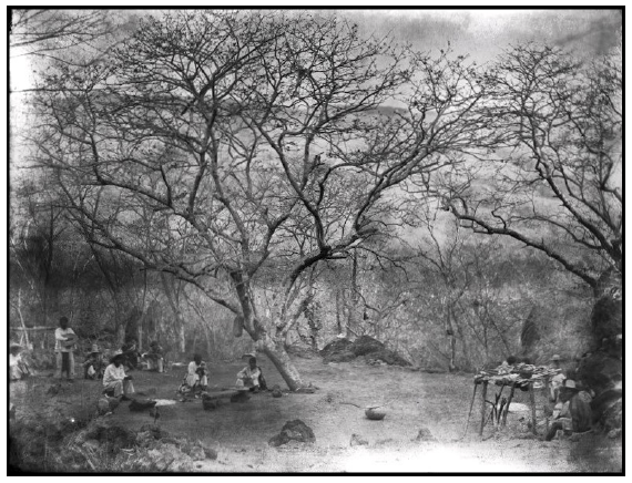 Patio de mitote cora de finales del siglo 
							xix en las cercan�as de Santa Teresa, Nayarit
						