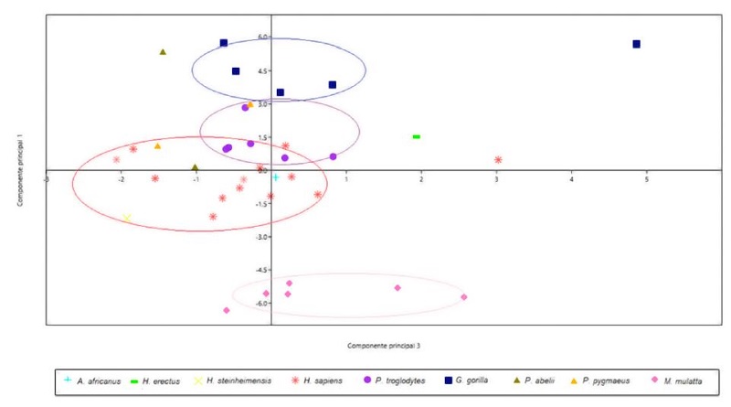 Anlisis general de componentes principales: componente 1 y 2