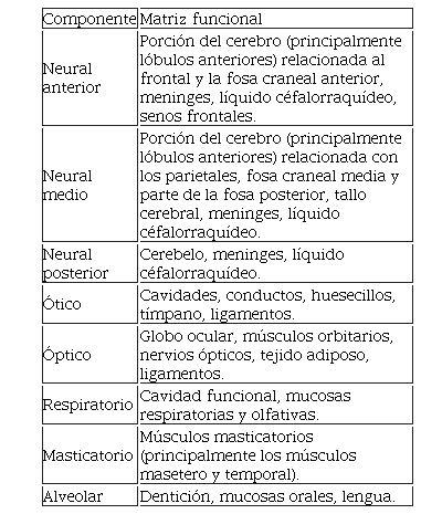 Ejemplificacin de algunas matrices funcionales y sus componentes menores