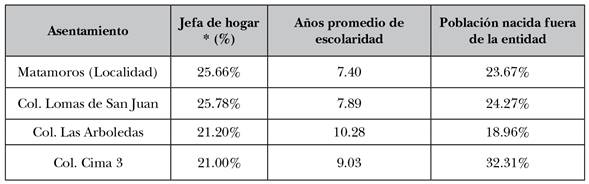 Indicadores sociodemogr&aacute;ficos en Matamoros y en las colonias del estudio, 2010