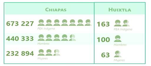 Población Económicamente Activa HLI en Huixtla, Chiapas
