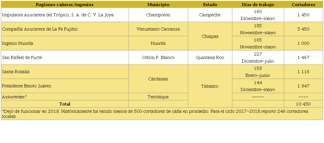 Mano de obra en regiones cañeras en la frontera sur de México.