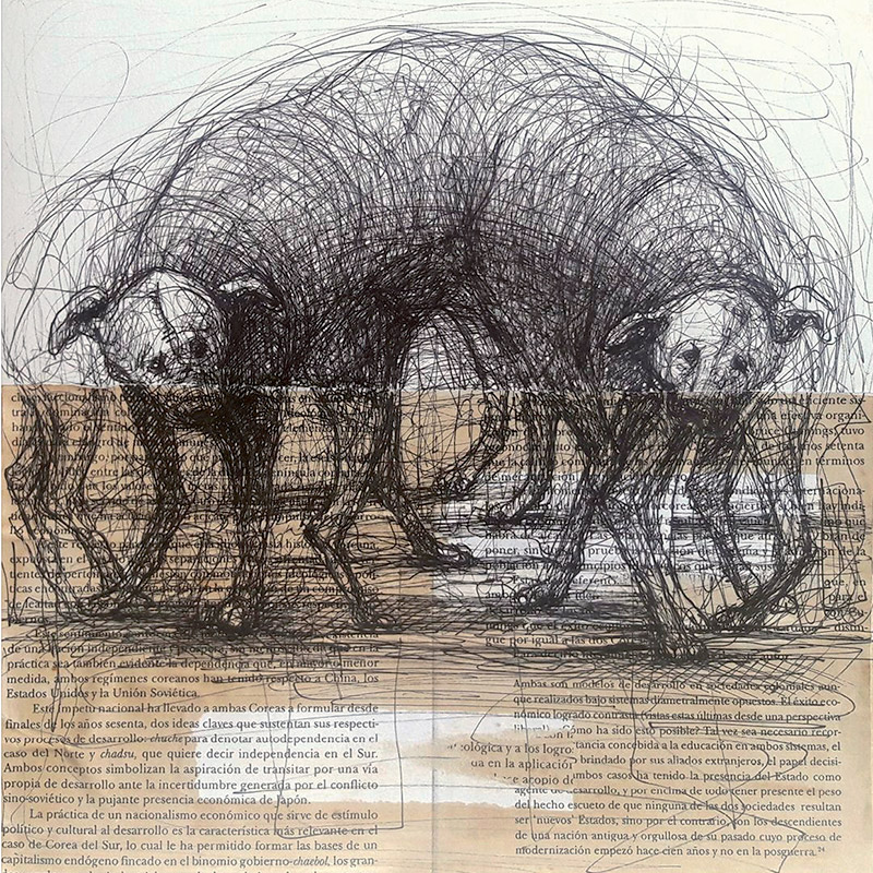 Diana Morales Galicia, Ciudad de México, 1978. Estilógrafo s/papel, 2018.