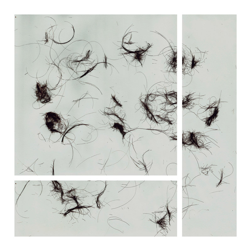 Selma Guisande. Ciudad de México, 1972. Tríptico, cabello y pegamento s/papel, 25 x 25 cm, 2018.