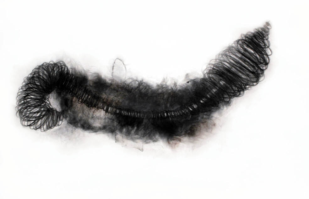 SERGIO VERTIZ SANTIAGO (2017). 







Grafito, sanguina/pergamino,  50 x 69 cm.