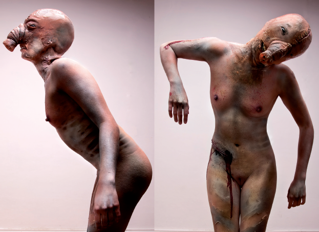 Zooantropomorfo VI, 2010.