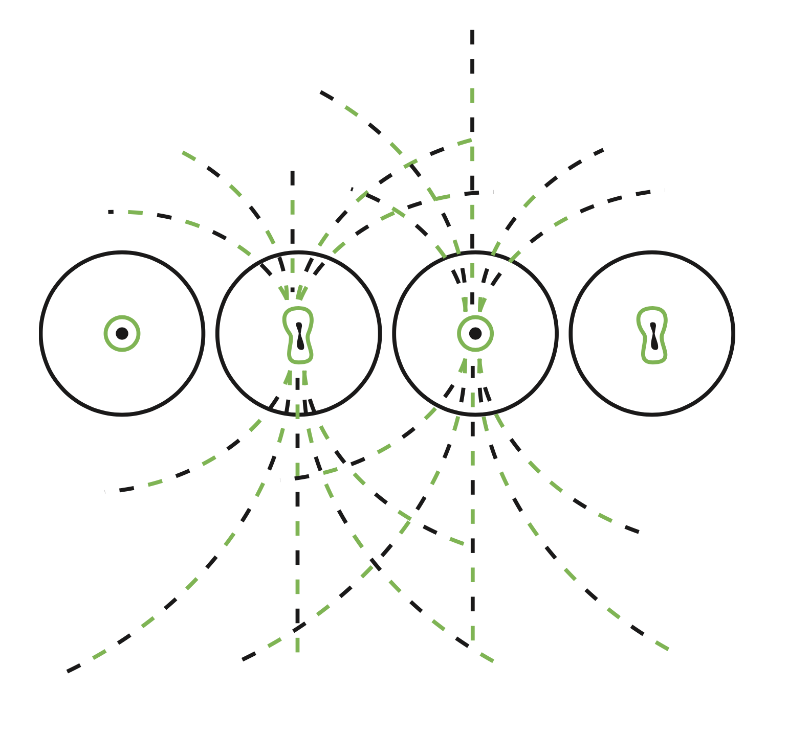 Micrometr&iacute;a del afecto