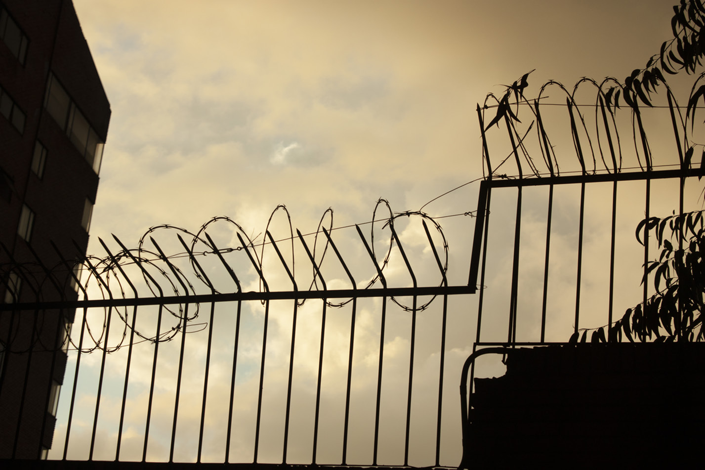 Concertina en Bogot. Ximena De Valdenebro (2015).