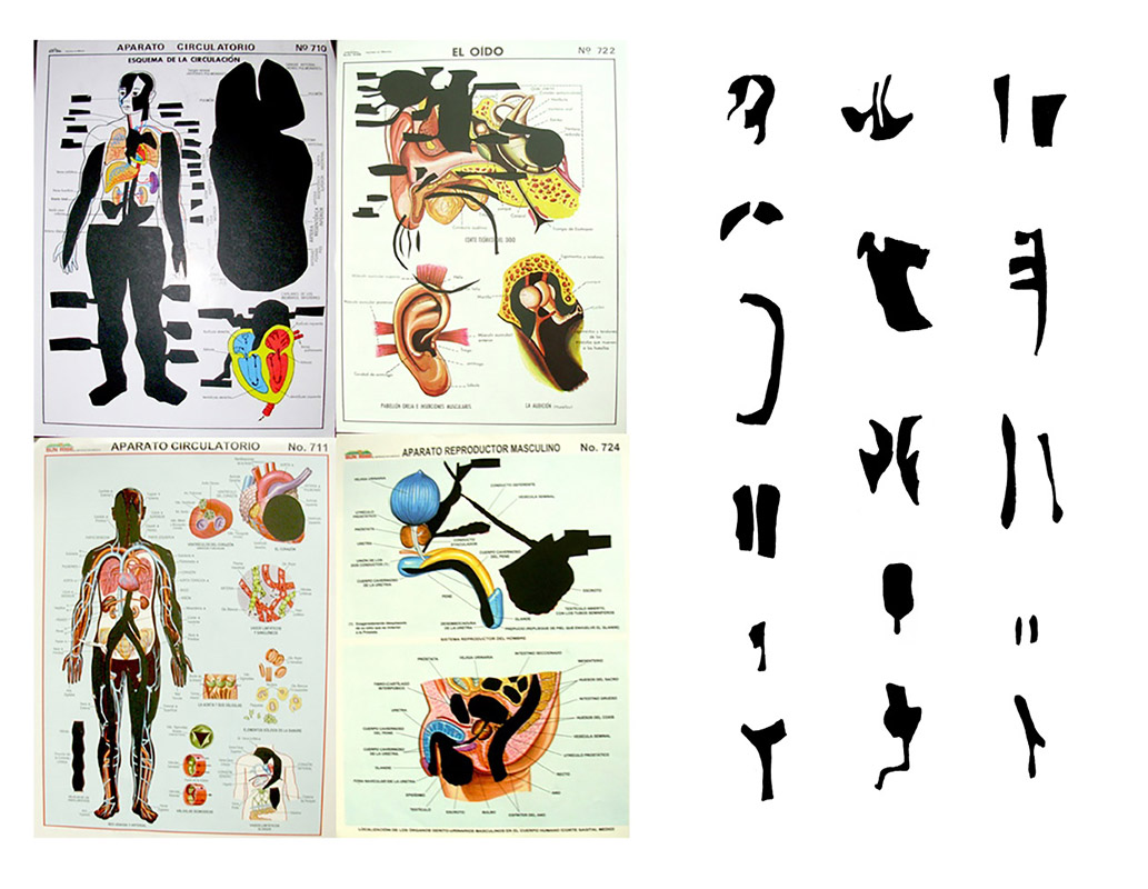 Ejercicio de localizaci�n emocional y selecci�n de formas corporales