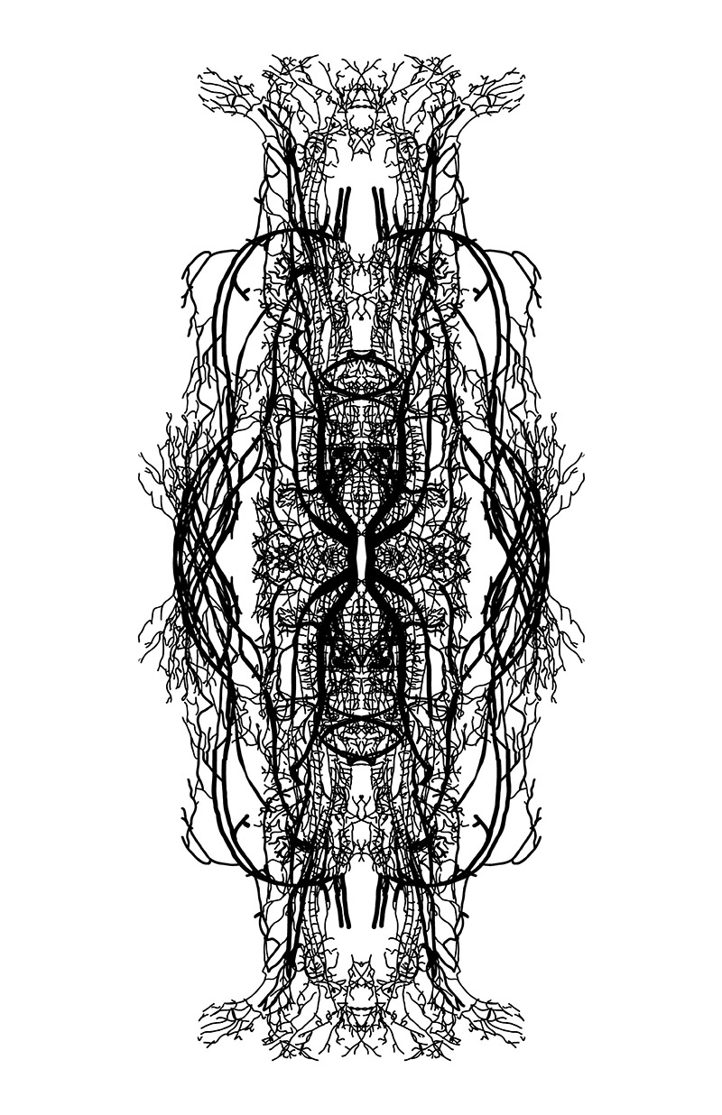 Recorrido emocional Felicidad