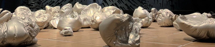 Instalaci�n Tristeza