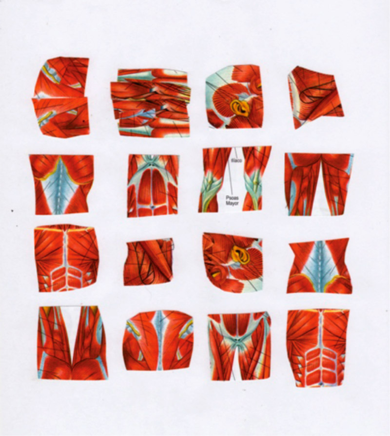 Localizaci�n emocional