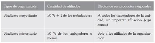 Resumen de reglas de representatividad y efectos seg�n la LRCT