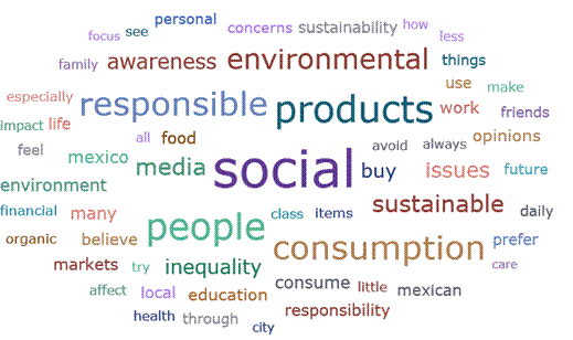 Word cloud from the verbatim content of the interviews