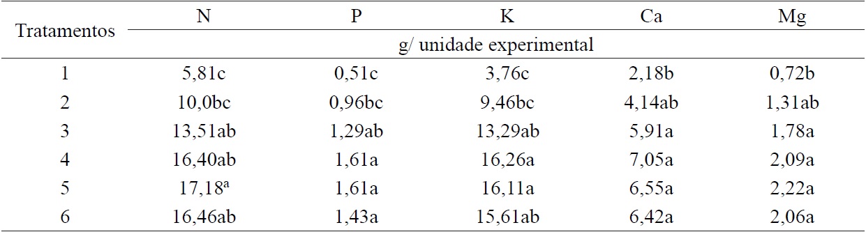 Nitrogen content (N), phosphorus (P), potassium (K), calcium (Ca) and magnesium (Mg) on shoots of seedlings of Platymiscium ulei in function of size of containers, after 90 days of cultivation in nurseries.