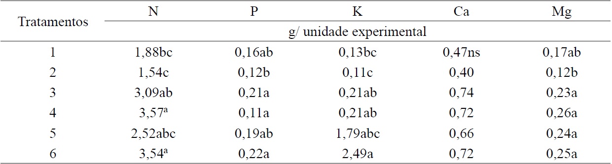 Nitrogen content (N), phosphorus (P), potassium (K), calcium (Ca) and magnesium (Mg) on shoots of seedlings of Mezilaurus itauba in function size of containers, after 90 days of cultivation in nurseries.