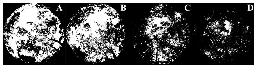 Hemispherical picturesofthecanopyofopenedvegetationduringthedry season (Canopy openness = 57,5%, A) and wet season (Canopy openness, = 51,1%; B); riparian forest on dry season (Canopy openness = 23,94% C) and wet (Canopy openness = 9,33%; D), photos taken at a single point in each area, Serra de Itabaiana National Park.