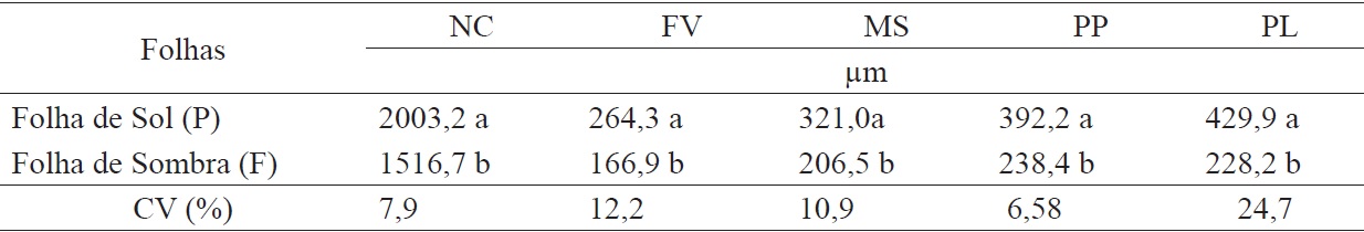 Thickness of the central rib (NC), vascular bundle (FV), mesophyll (MS), palisade parenchyma (PP) and spongy parenchyma (PL), in leaves of Theobroma speciosum pasture (P) and dense rain forest (F).