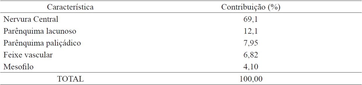 Relative contribution of the five qualitative characteristics evaluated for leaf anatomical divergence in 10 individuals of Theobroma speciosum.