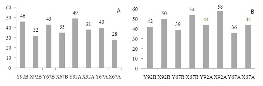 Rendimento de Clear Blocks A: (A) em percentual, (B) em R$/m3