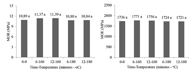 Average values of the rupture modulus (MOR) and elasticity modulus (MOE) in static bending.
