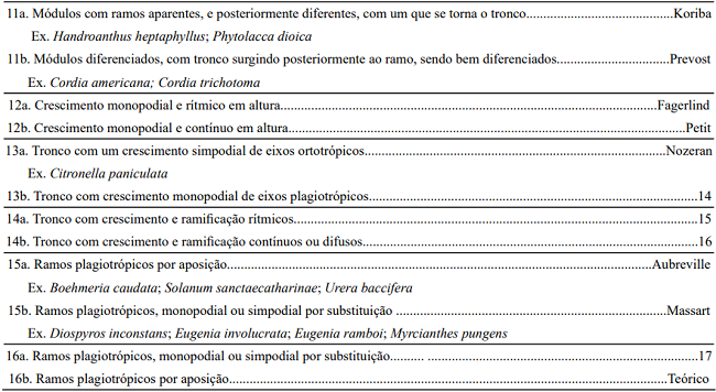 Key to the Architectural Models of Trees, prepared by elements of tree architecture. The models founded in the survey are presented with emphasis and the sampled species are cited like example (Ex.).