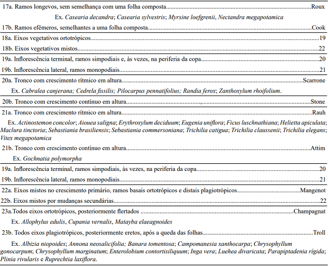 Key to the Architectural Models of Trees, prepared by elements of tree architecture. The models founded in the survey are presented with emphasis and the sampled species are cited like example (Ex.).
