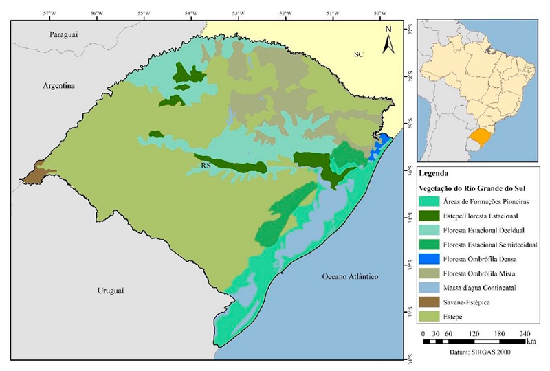 Phytogeography map of Rio Grande do Sul state.