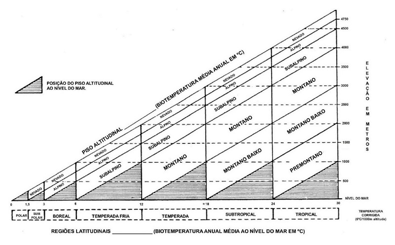 Diagram of altitudinal level grounds from Holdridge system.