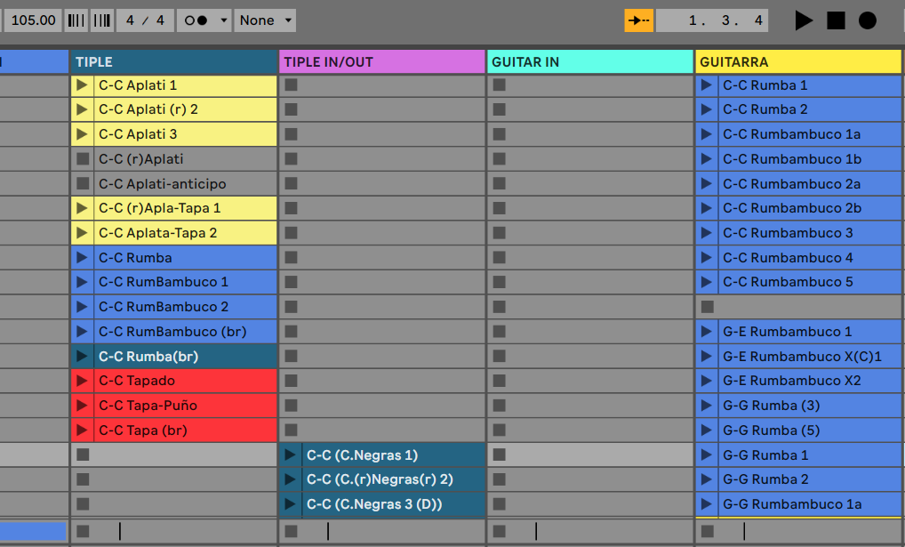 Loops cargados en vista de sesi�n para la obra Chenecita