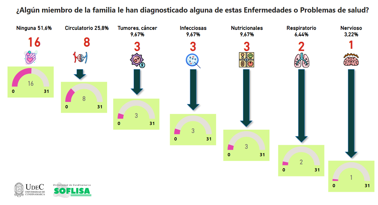 Distribucin de los problemas diagnosticados de salud en la familia