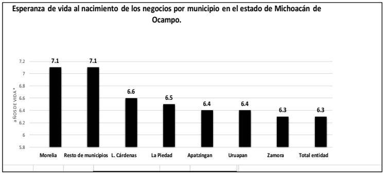 Esperanza de vida de los negocios en Lázaro Cárdenas, Michoacán