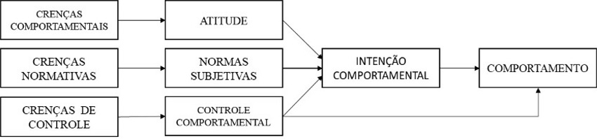 Teoria da ação racionalizada