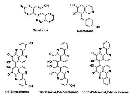 Estructuras químicas de necatorina, necatorona, 4,4’-binecatorona, 10-desoxi-4,4’-binecatorona y 10,10’-didesoxi-4,4’-binecatorona