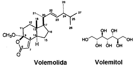 Estructuras químicas de volemolida y volemitol