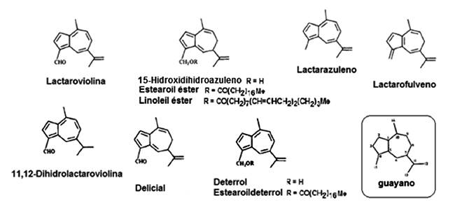 Estructuras químicas de lactaroviolina, 15-hidroxidihidroazuleno,15-O-estearoiloxidihidroazuleno, 15-O-linoleiloxidihidroazuleno, lactarazuleno, lactarofulveno, 11,12-dihidrolactaroviolina, delicial, deterrol y estearoildeterrol