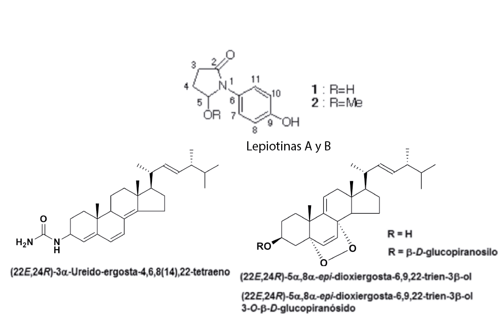 Estructuras químicas de lepiotina A, lepiotina B, ergostanos libres y un glucopiranósido de ergostano