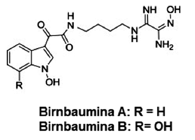 Estructuras químicas de birnbaumina A y birnbaumina B