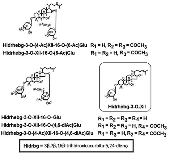 Estructuras químicas de los glicósidos triterpénicos con esqueleto tipo cucurbitano (hebevinósidos) de H. vinosophyllum