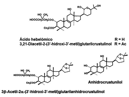 Estructuras químicas de triterpenos de tipo lanostano de H. crustuliniforme, H. sinapizans y H. spoliatum