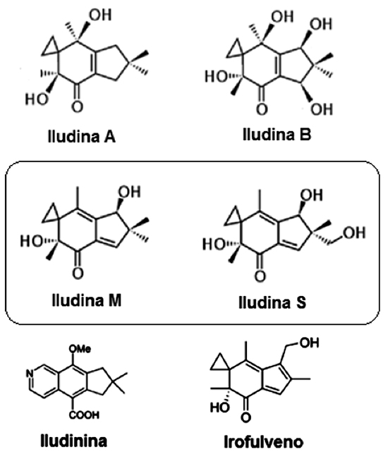 Estructuras químicas de iludina A, B, M y S, iludinina e irofulveno.