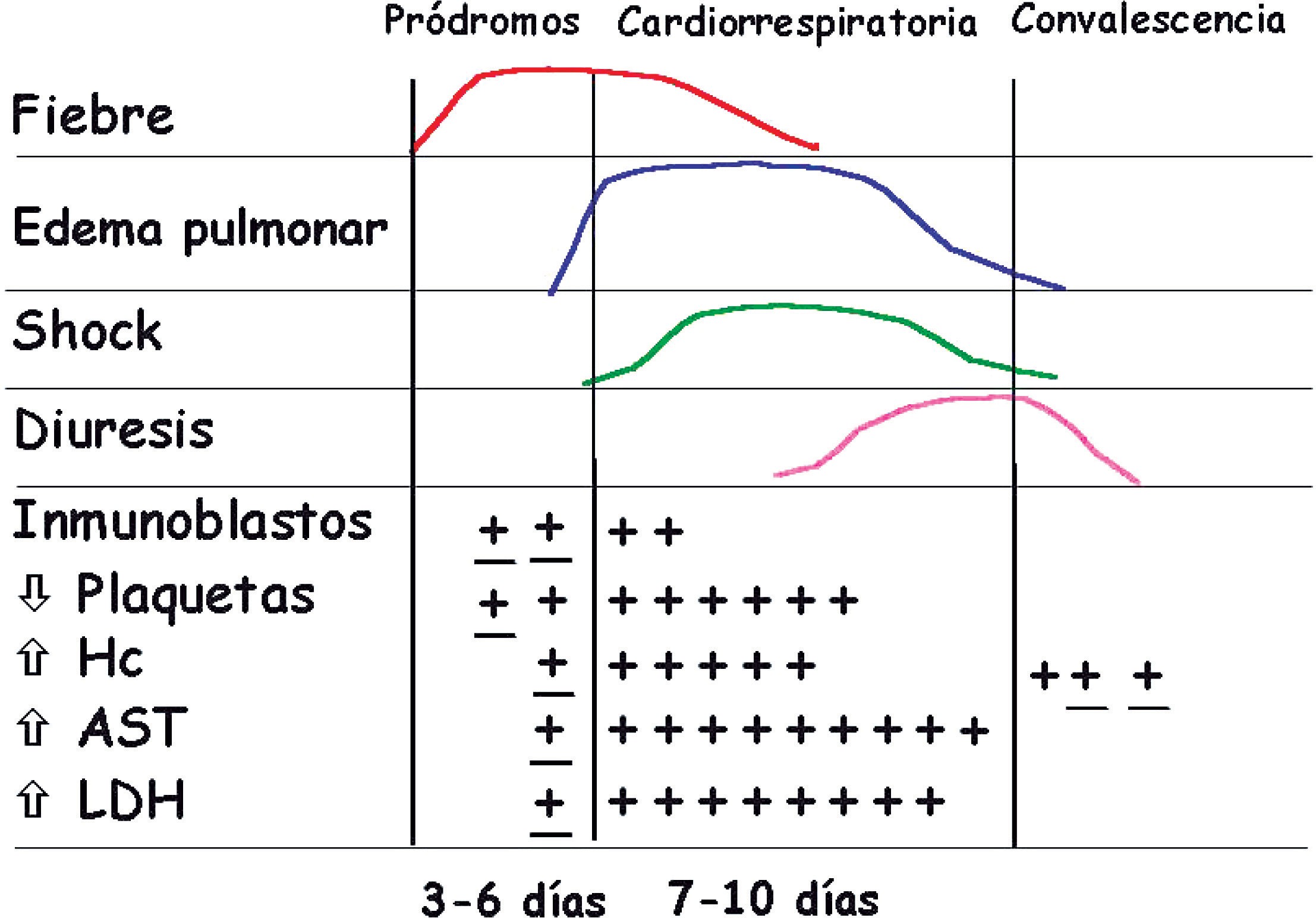 Figura 2. Fases del s&iacute;ndrome pulmonar por Hantavirus.