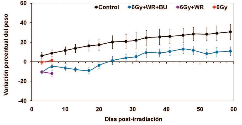 Evolución del peso corporal relativo para los animales hembras irradiados y el efecto protector del butirato de sodio BU combinado con amifostina WR Grupos control no irradiado 6 Gy  WR  BU irradiación y tratamiento con amifostina y butirato de sodio según se describe en Materiales y Métodos 6 Gy  WR irradiación y tratamiento con amifostina 100 mgkg 6 Gy irradiado solamente