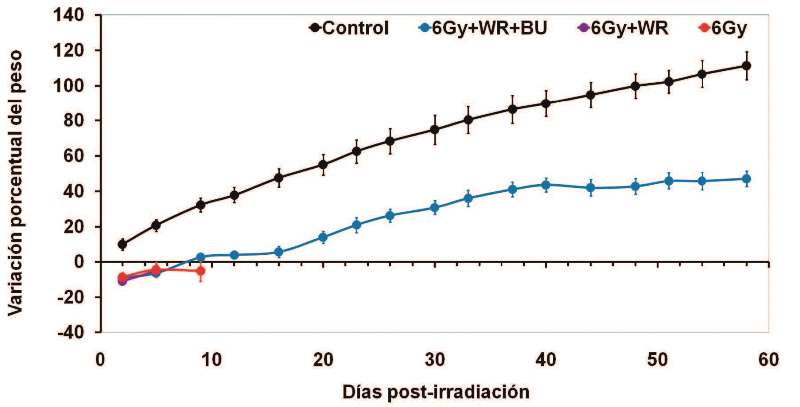 Evolución del peso corporal relativo para los animales machos irradiados y el efecto protector del butirato de sodio BU combinado con amifostina WR Grupos Control no irradiado 6 Gy  WR  BU irradiación y tratamiento con amifostina y butirato de sodio según se describe en Materiales y Métodos 6 Gy  WR irradiación y tratamiento con amifostina 100 mgkg 6 Gy irradiado solamente
