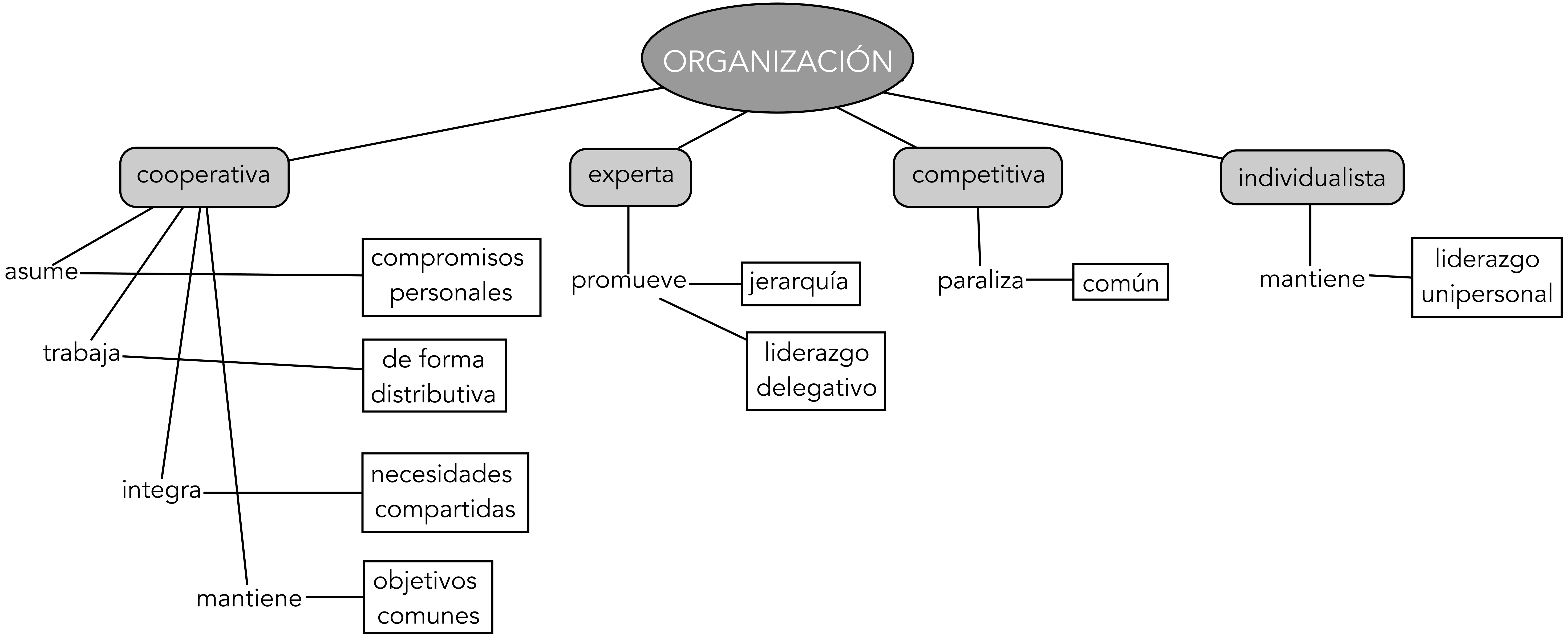 Categoría de Organización