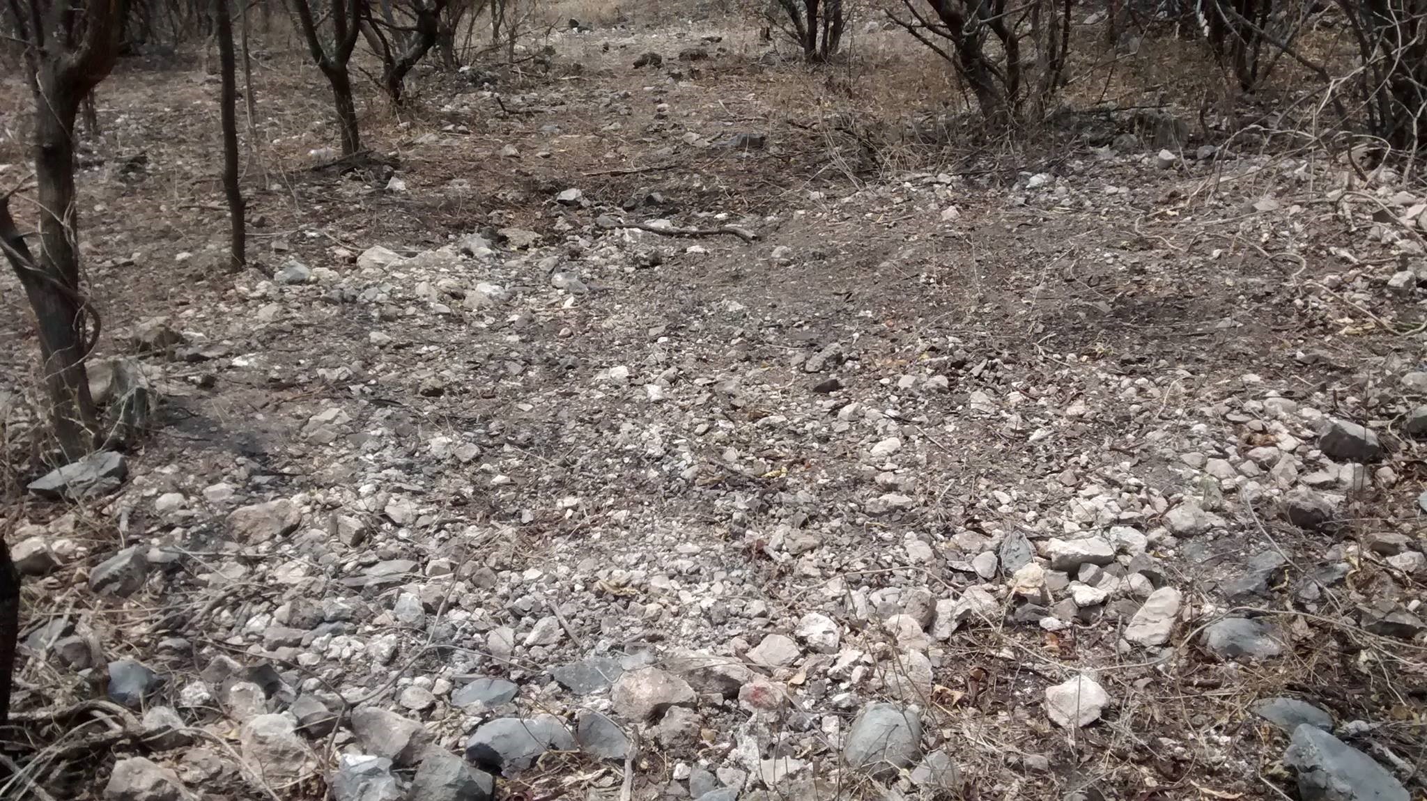 Fotografía de fosas clandestinas tomadas por familiares organizados en Brigadas de Búsqueda por los desaparecidos en México.